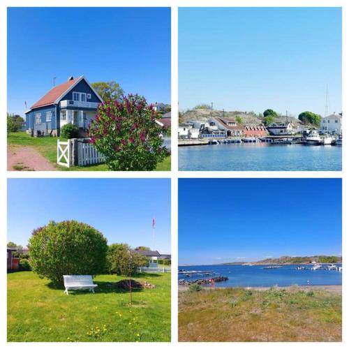 B&B Fyn - 4 bedrooms, big garden, beach - Bed and Breakfast Fyn