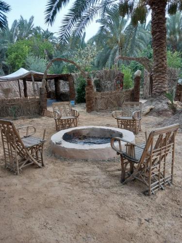 Surrounding environment, Forest Camp Siwa - كامب الغابة in Siwa