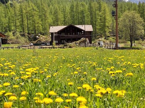 Chalet Rosa dei Monti Valprato Soana