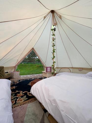 Glamping at Camp Corve in Chale