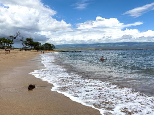 Maalaea Harbor-Oceanfront 2 Bedroom/2 Bath