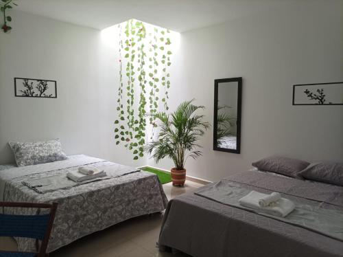 CAFE HOTEL BOUTIQUE KJTAGUA