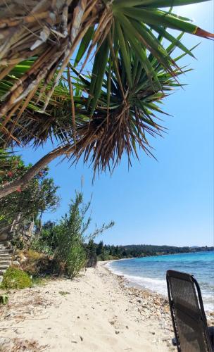 On the beach Neos Marmaras