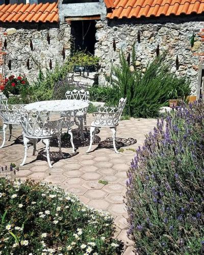 Hostal Quinto Sol Huamantla photo