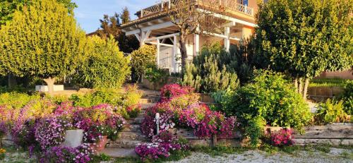 Joka B&B e Home Food, Rimini