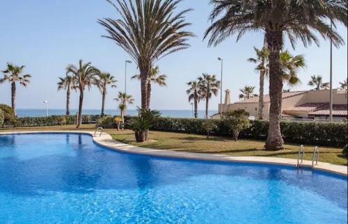 estrellademar