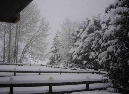 Appartamento ampio giardino adiacente piste sci 4/6 posti letto - La Thuile