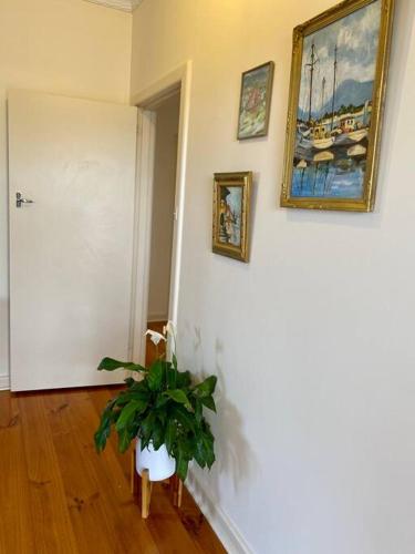 Vybavení, Tumby Bay Escape - 4BR - Beautiful Beach Cottage in Poloostrov Eyre