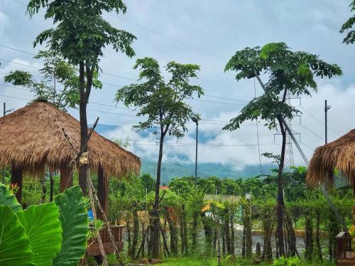 Kampot Tropical Village