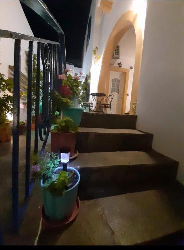 Studios Remvi in Livadi (Cythera)
