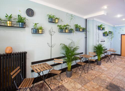 Patio Hostel - image 13