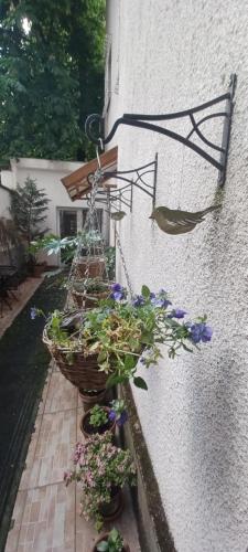 Buda Trió Apartments - image 13