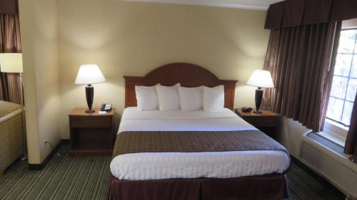 Best Western Hollywood Plaza Hotel - Walk of Fame Film City LA, Los Ángeles (foto 7)