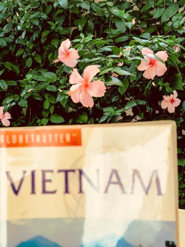 An Hiên Homestay Hội An, Hoi An (foto 8)