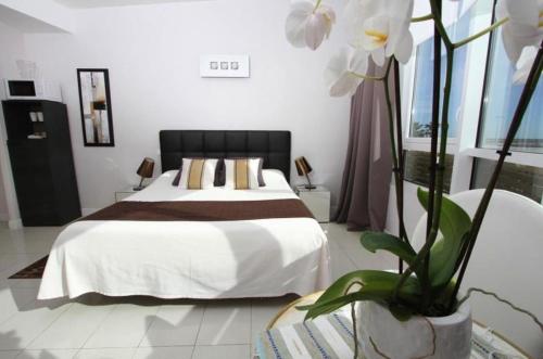 Bleu Mer Duplex & Suites Room Type - Comfort Double Room