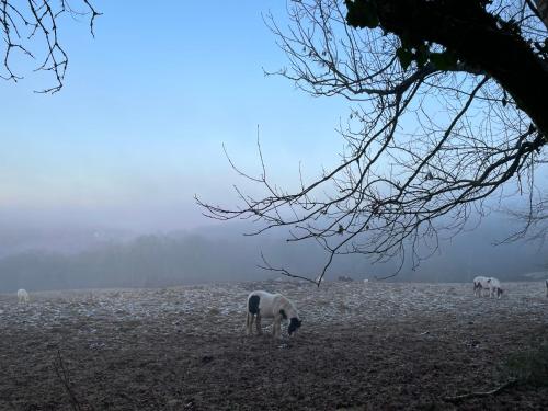 Cupcake Cottage: Quintessential Cotswold Cottage