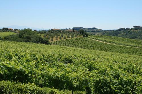 Tenuta Di Monaciano