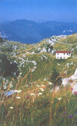 Albergo Al Vescovo