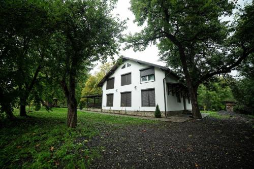 Doispe Nuci in Bistra Mureşului