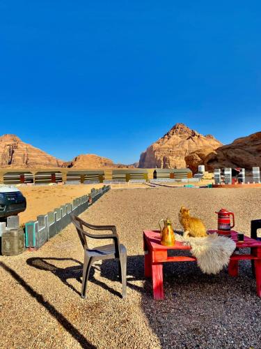 Sun rise wadi rum camp, Wadi Rum