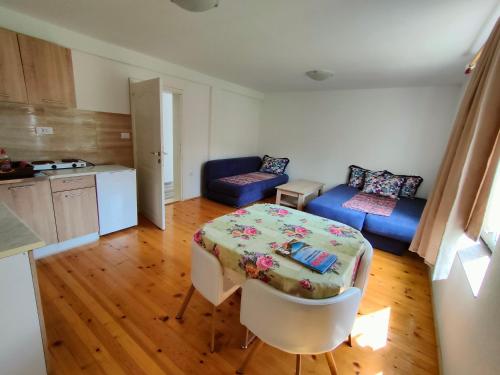 Apartment Durmitor in 扎布利亞克