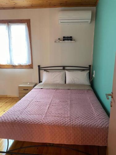 Politis wooden house