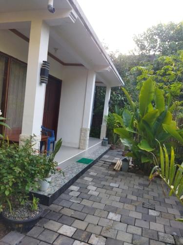 Pakok HOMESTAY