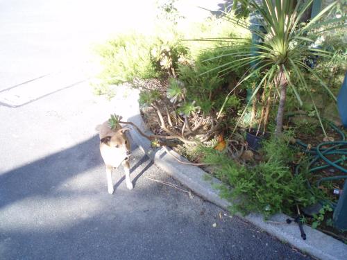 福恩山汽车旅馆 福恩山汽车旅馆