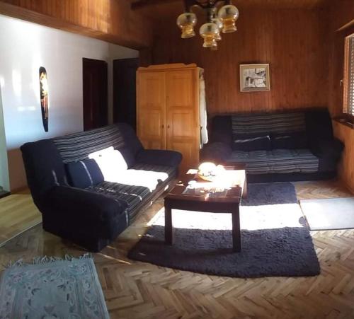 Apartmani Damjan Vlasinsko jezero