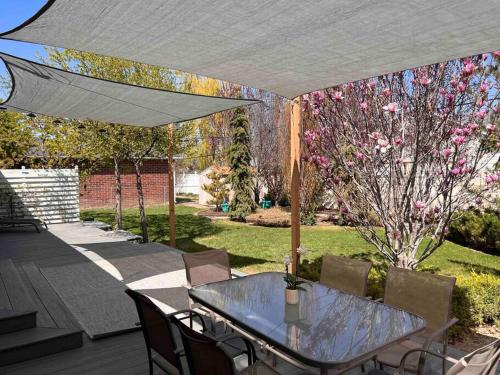 Mid-century, modern oasis, fully stocked