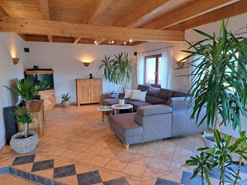 Steewer Landhaus gemütliche Ferienwohnung bis 6 Pers in ruhiger Ortsrandlage (Steewer Landhaus gemutliche Ferienwohnung bis 6 Pers in ruhiger Ortsrandlage) in Grossmaischeid (Rhineland-Palatinate)
