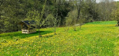 Domek nad Solinką