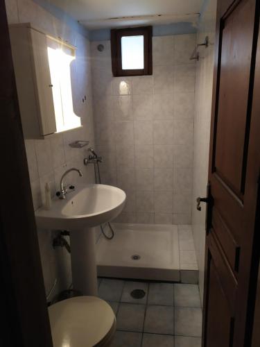 Double studio room with two single beds, Tsagarada (fotografie 8)