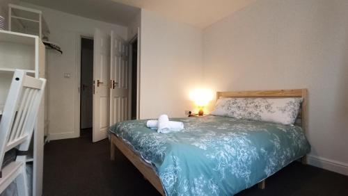 Bright, chilled ensuite DB room in a shared flat!, Londyn