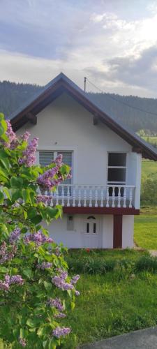 Vlasic holiday home - Vlašić