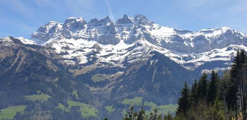 附近景點, Chalet le Grenier des Crosets, Vue exceptionnelle sur les Dents du Midi in 瓦勒迪利耶
