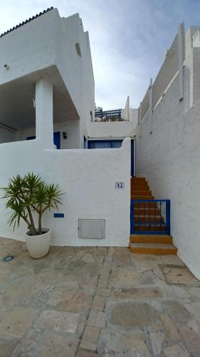 Perla Blanca Orange Costa - image 3