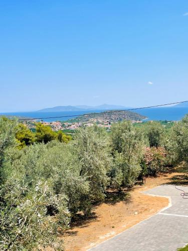 Epidavros View