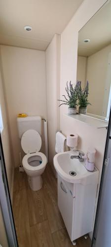 Mobile Home Shelbox