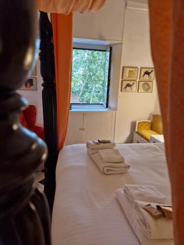 Home Rome Lepanto, Rome (photo 4)