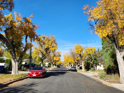 4 BR Encino Home w/ Amazing Yard, Near Everything