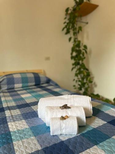Mandala Maison - Zen Oasis, Marone (foto 7)