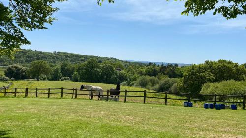 Retreat to Oak Tree Lodge - A Romantic Getaway in Devon's Finlake Resort & Spa