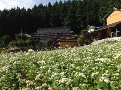 Casa KitsuneAna The Satoyama experience in a Japanese-style modernized 100-year-old farmhouse