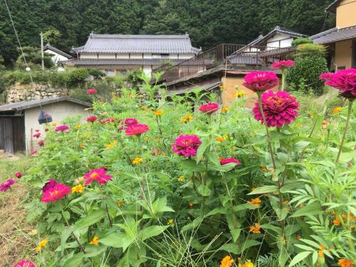 Casa KitsuneAna The Satoyama experience in a Japanese-style modernized 100-year-old farmhouse