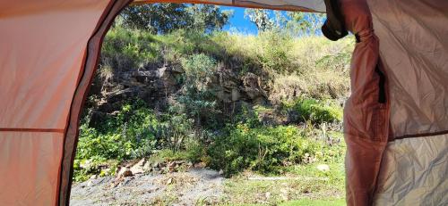 A környék, Meyenburg Glamping in Mount Morgan