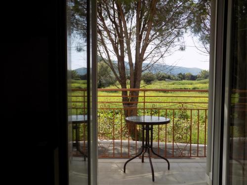 Afrodite Spacious Apartments! in Pilarei