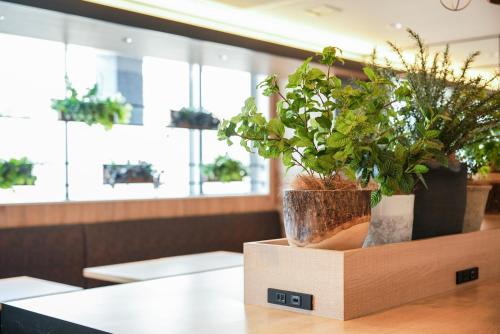 Super Hotel 四國中央 | 去趣 chicTrip