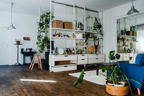  Ballando e Baillando in Verona