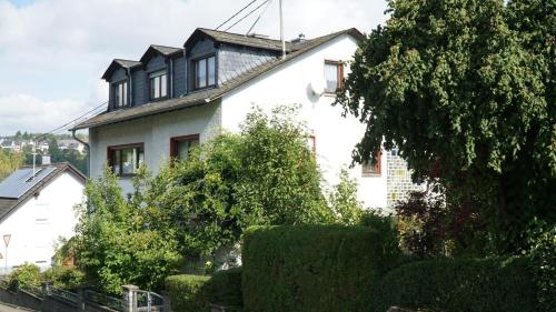 Ferienwohnung-Zweiburgenblick in Runkel